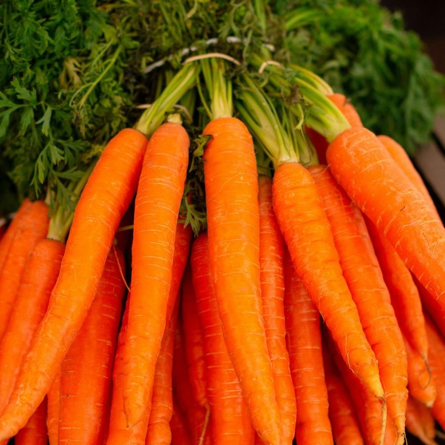 Carrot