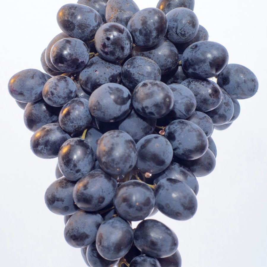 Exotic and imported fruits like grapes at Fresh Mandi